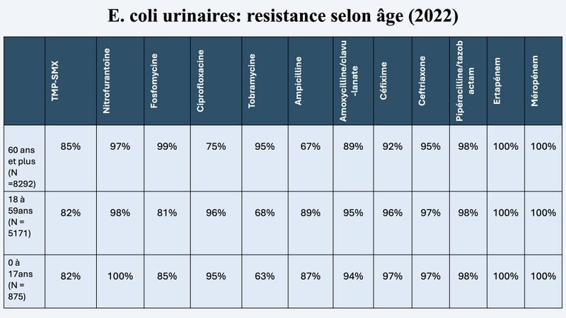 Fichier:R E coli.jpg