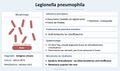 Vignette pour la version du 27 octobre 2026 à 15:10