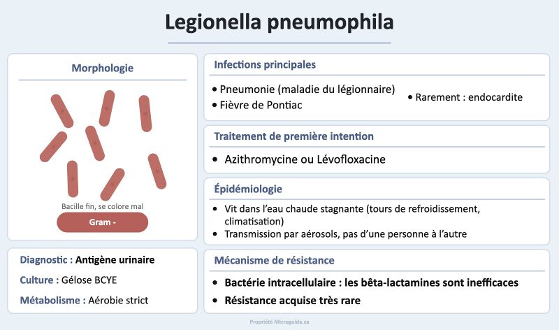 Fichier:Fiche - Legionella pneumophila.jpg