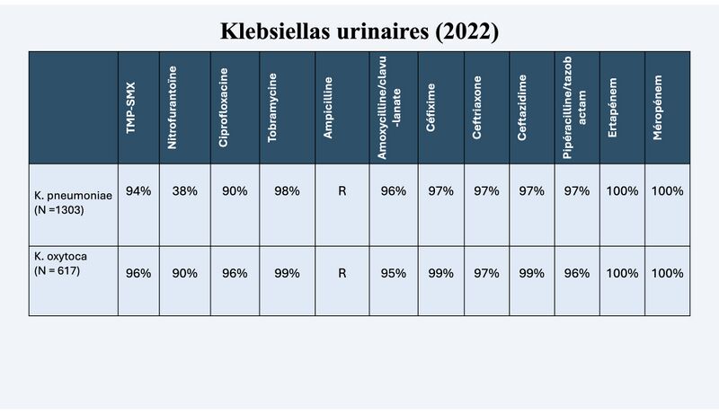 Fichier:R kleb2.jpg