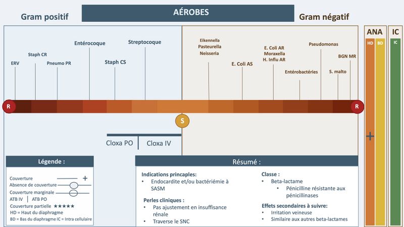 Fichier:Cloxa.2.jpg