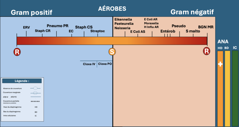 Fichier:Spectre cloxa.png