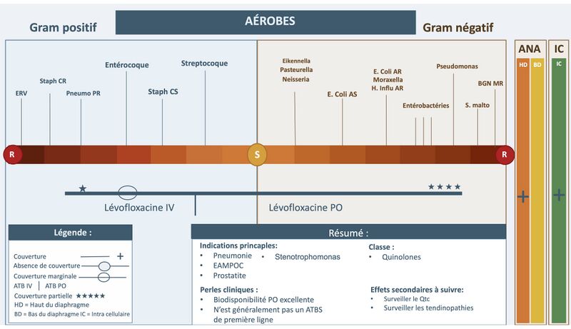 Fichier:LVQ2.jpg