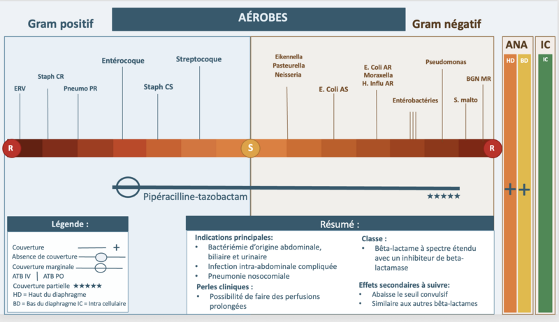 Fichier:Tazo S ok.png