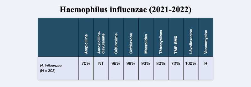 Fichier:Tableau - Haemophilus influenzae.jpg