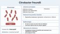 Vignette pour la version du 23 août 2026 à 16:07