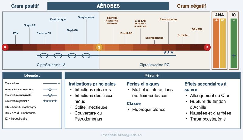 Fichier:Spectre - Ciprofloxacine.jpg