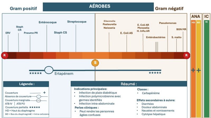 Fichier:Erta final final.jpg