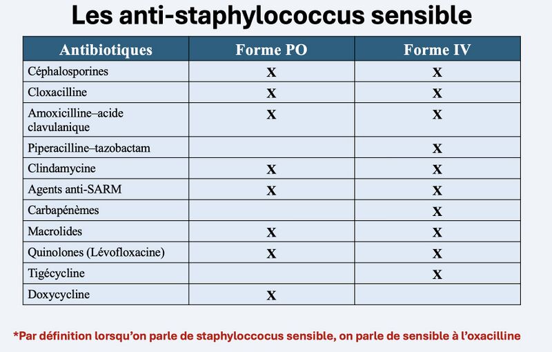 Fichier:Tx SASM.jpg