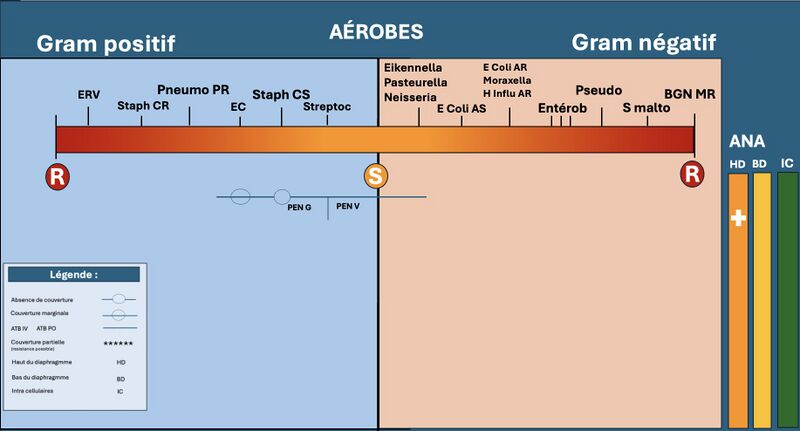 Fichier:PNG ATBS.jpg