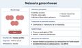 Vignette pour la version du 27 octobre 2026 à 15:10