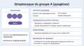 Vignette pour la version du 12 juillet 2026 à 23:47