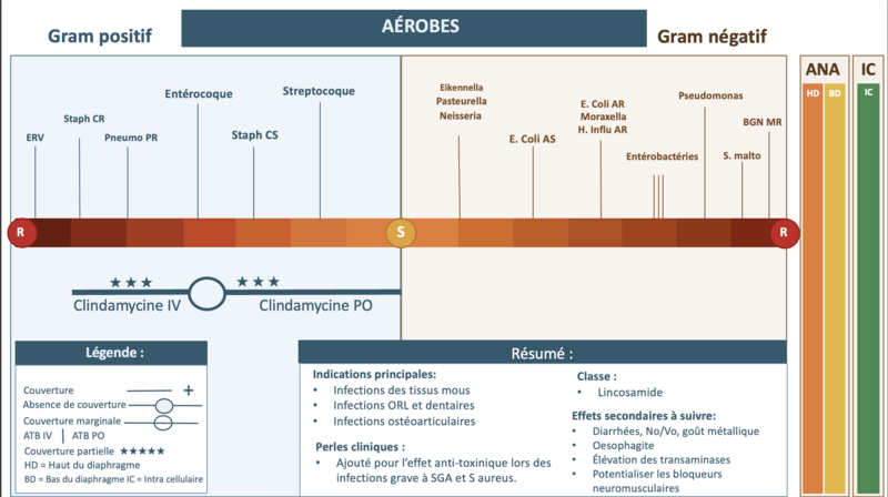 Fichier:Clindamycine.png