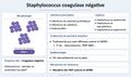 Vignette pour la version du 27 octobre 2026 à 15:10