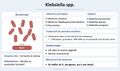 Vignette pour la version du 27 octobre 2026 à 15:10