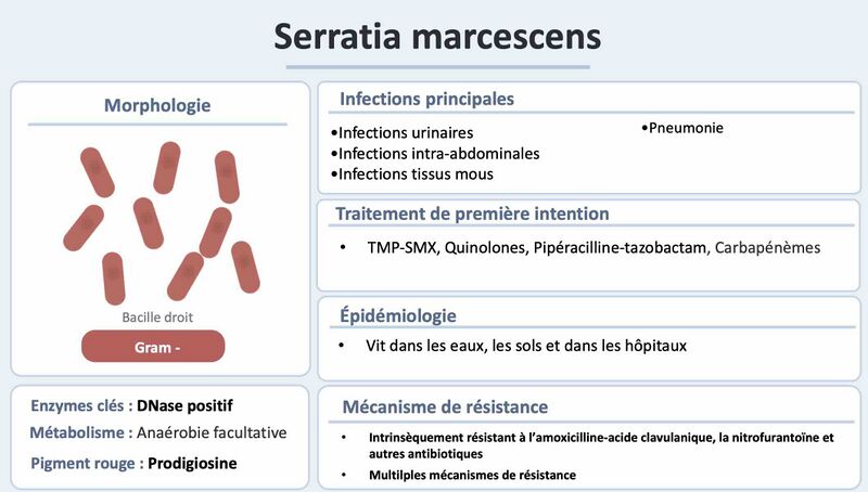 Fichier:S marce.jpg