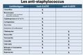 Vignette pour la version du 17 mai 2026 à 18:19