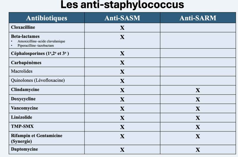 Fichier:Tx staph.jpg