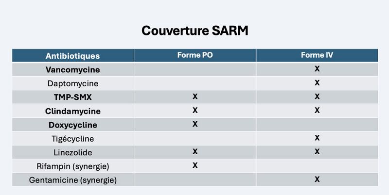 Fichier:Tx SARM.jpg