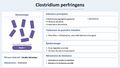 Vignette pour la version du 24 octobre 2026 à 17:39