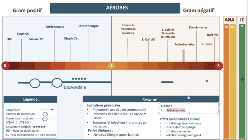 Fichier:Spectre doxy.png