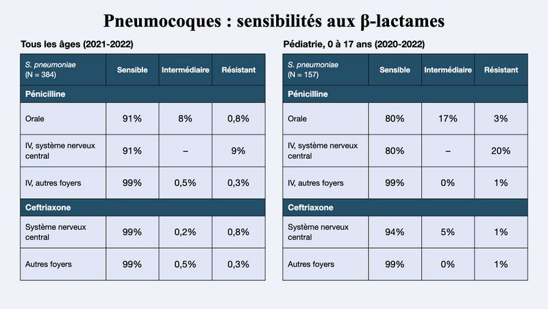 Fichier:Pneumocoques PNC CHU.jpg