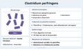Vignette pour la version du 27 octobre 2026 à 15:10