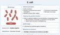 Vignette pour la version du 27 octobre 2026 à 15:10