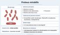 Vignette pour la version du 27 octobre 2026 à 15:10