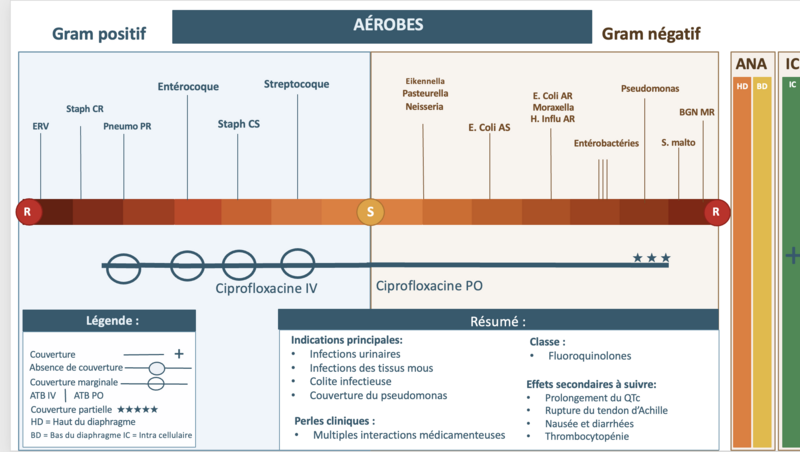Fichier:Cipro final.png