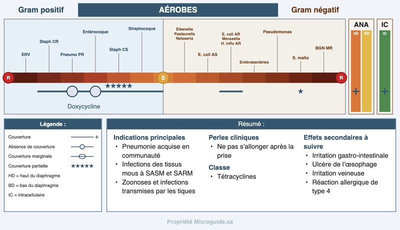 Fichier:Spectre - Doxycycline.jpg