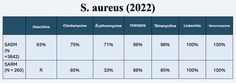 Fichier:S aureus sensibilité.jpg