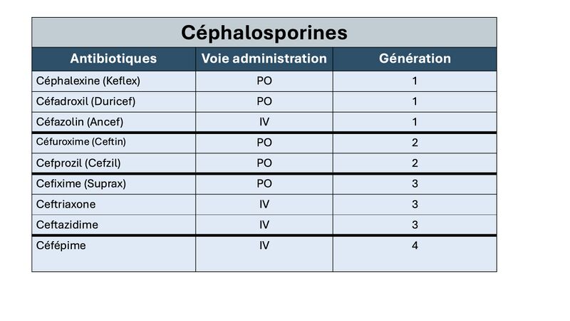 Fichier:Céphalosporines.jpg