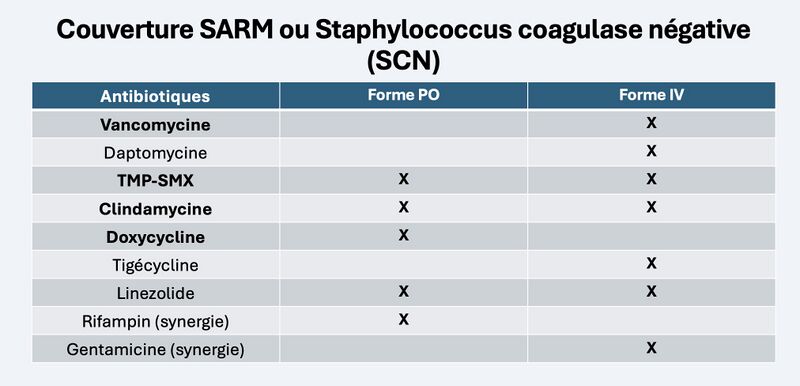 Fichier:Tx du SARM-SCN.jpg