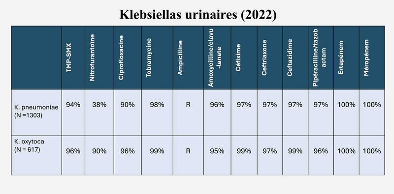Fichier:R kleb3.jpg