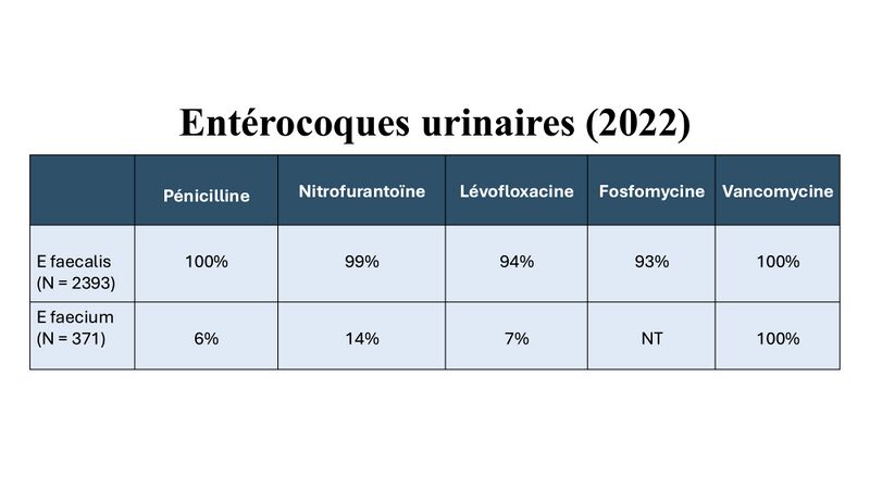 Fichier:Entéro R.jpg