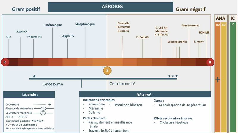 Fichier:Ceftriaxone.jpg