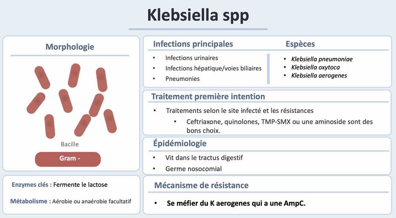 Fichier:KLEB.jpg