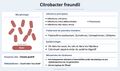 Vignette pour la version du 27 octobre 2026 à 15:10