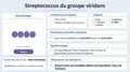 Vignette pour la version du 15 août 2026 à 15:00