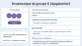 Vignette pour la version du 12 juillet 2026 à 23:57