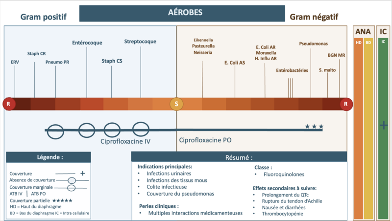 Fichier:Ciprofloxacine spectre.png