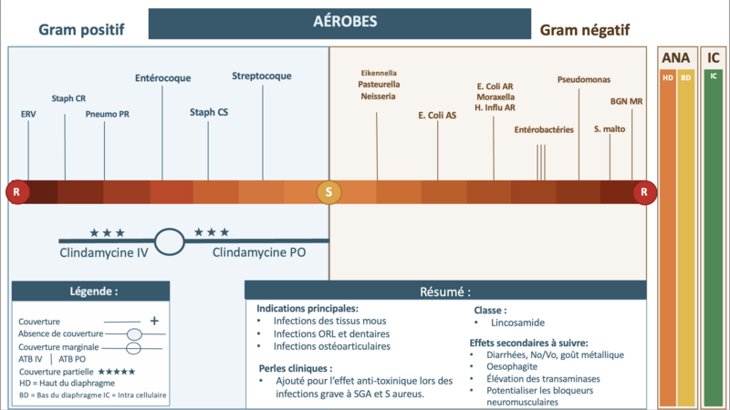 Fichier:Clinda ok bordure.png