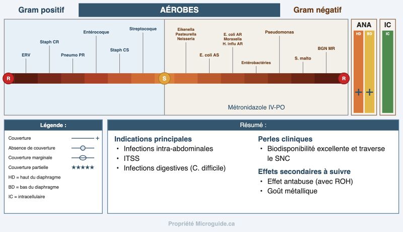 Fichier:Spectre - Métronidazole.jpg