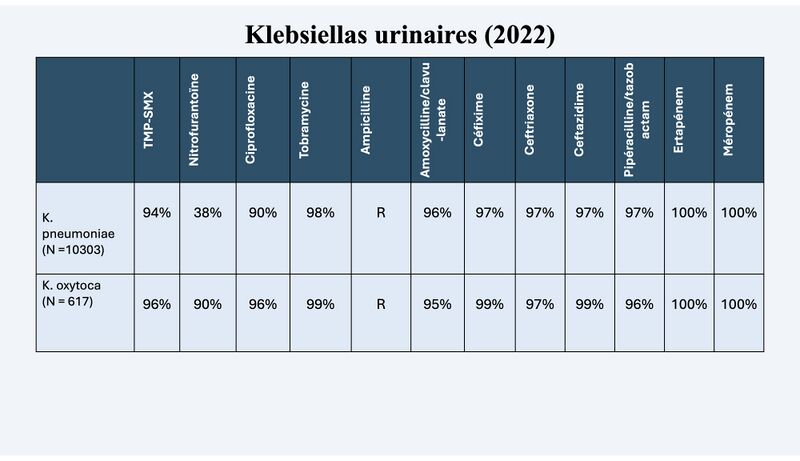 Fichier:R kleb.jpg