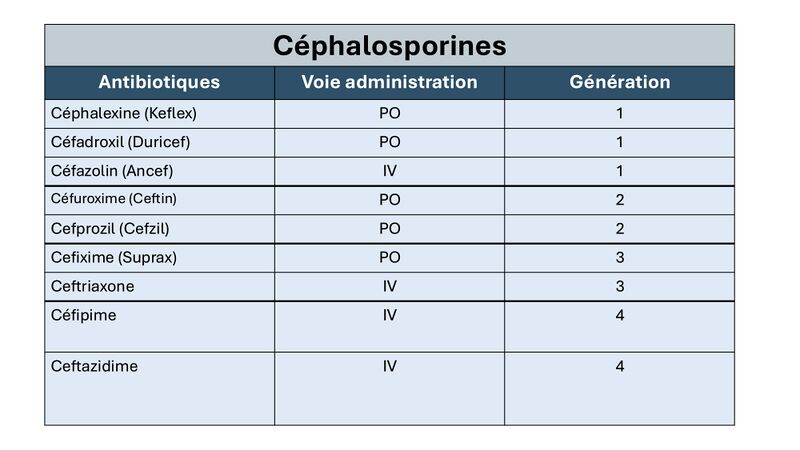 Fichier:Céphalosporine.jpg